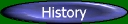 History der Ratisbona Bullfrogs