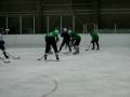 Ratisbona Bullfrogs - Uniteam