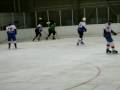 Ratisbona Bullfrogs - Uniteam