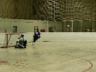 Galerie img14.jpg anzeigen.