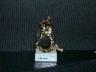 Galerie pokal2005.jpg anzeigen.
